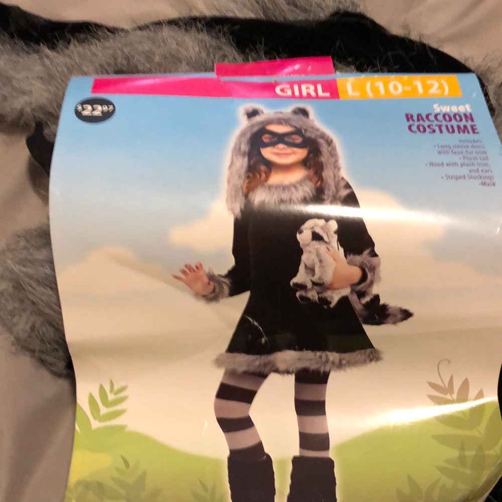 Sweet raccoon Halloween costume